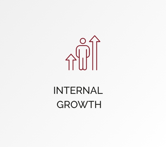 icon internal growth