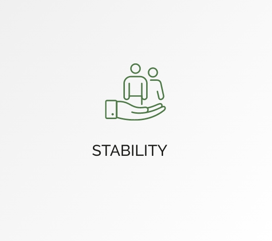 stability icon