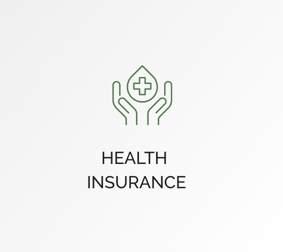 icon health insurance