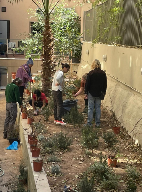 Social and labor inclusion